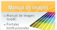 manual